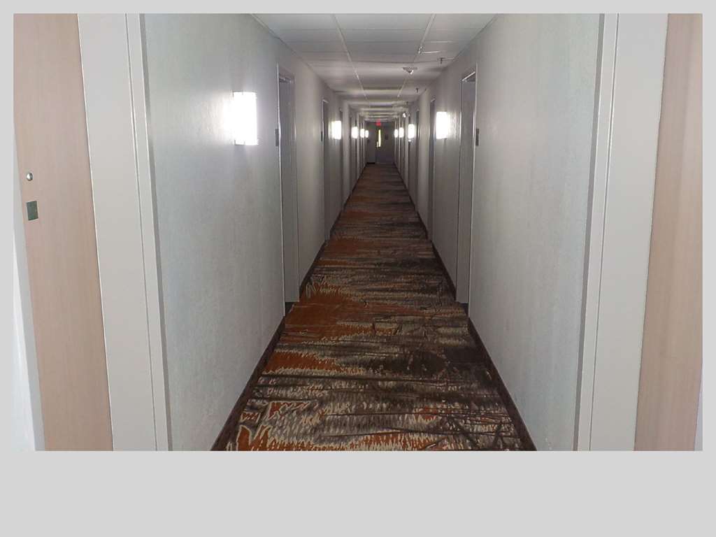 ชัวร์สเตย์ พลัส โฮเต็ล บาย เบสต์เวสเทิร์น อินเดียนาโพลิส นอร์ทอีสต์ Hotel แคสเซิลตัน สิ่งอำนวยความสะดวก รูปภาพ